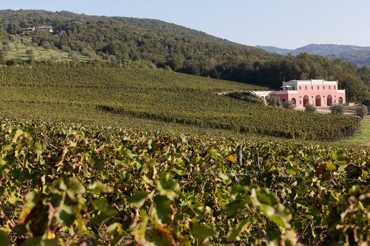Tenuta Il Sassone - Wine&Food Massa Marittima Exterior foto