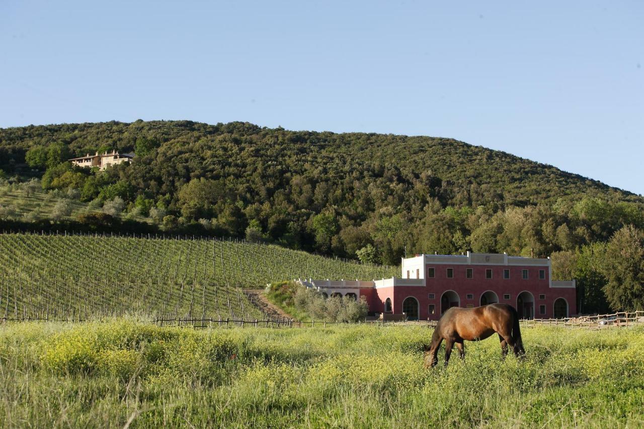 Tenuta Il Sassone - Wine&Food Massa Marittima Exterior foto
